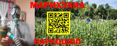 apvp Ливны