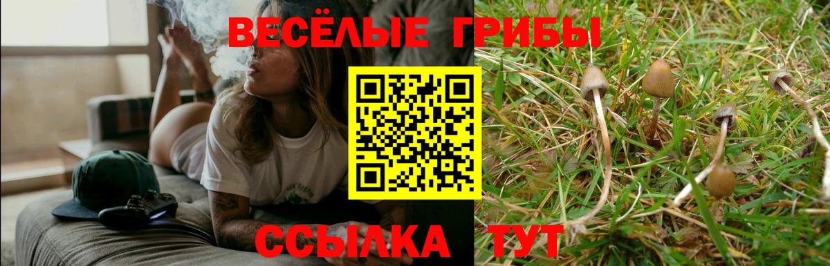 Ивантеевка  Галлюциногенные грибы прущие грибы  магазин продажи наркотиков  Вход с VPN 